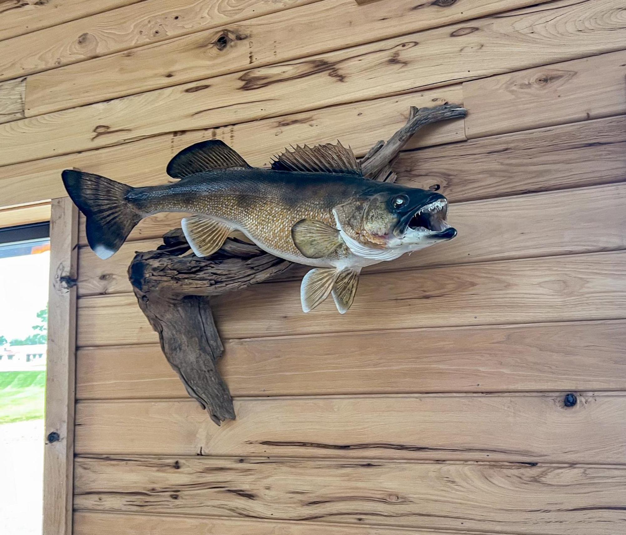 Walleye Inn Baudette ภายนอก รูปภาพ
